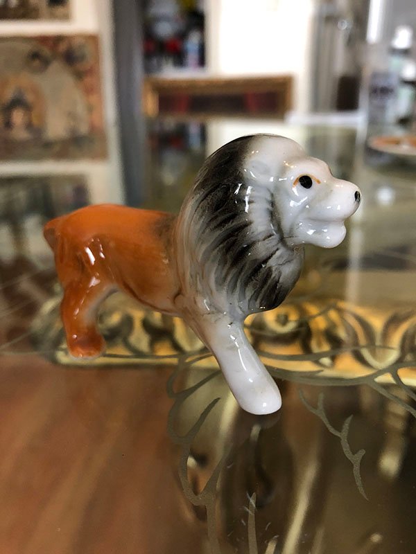 042.jpg LEON AMARILLO BLANCO - Image 1