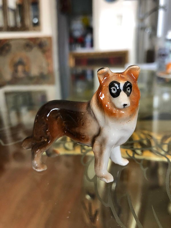 043.jpg PERRO LAZI - Image 1