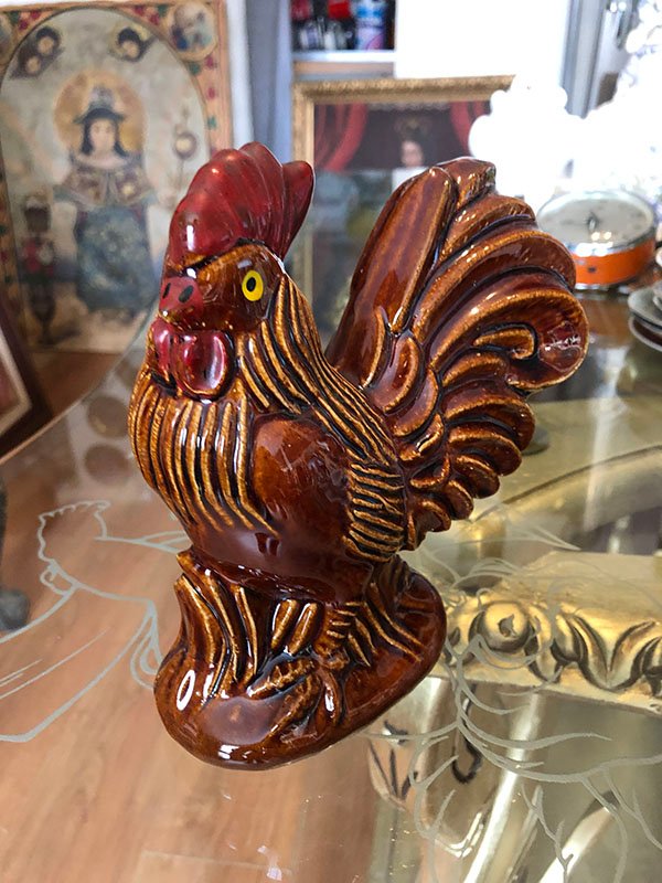 066.jpg GALLO MARRON - Image 1