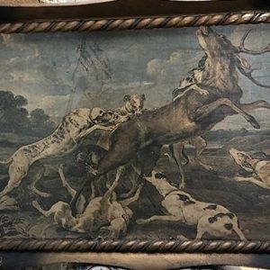 PERROS ATACANDO UN VENADO