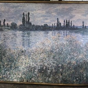 LAGO CON MALESA Y BOSQUE EN EL FONDO