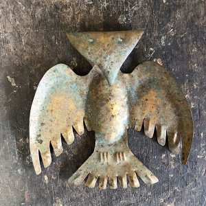 AVE CON PICO DOBLADO COMO EL ROSTRO