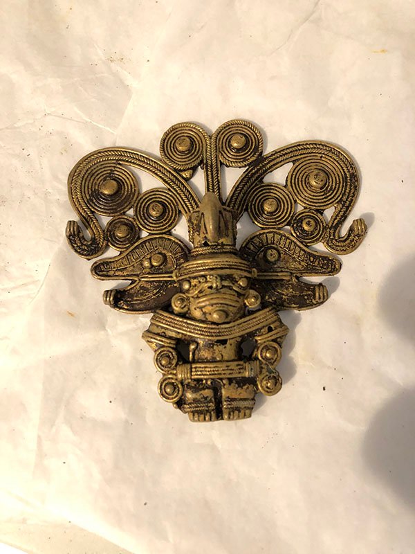 495.jpg LORO NO PARTIDO EN LA FRENTE - Image 1