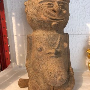 INDIA EMBARAZADA ARRODILLADA