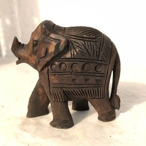 ELEFANTE CUADRADO CON TROMPA DE CERDO