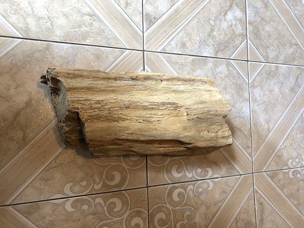 674.jpg SILOPALO - Image 1