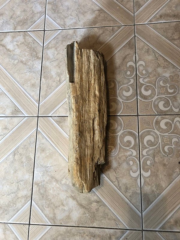 676.jpg SILOPALO - Image 1