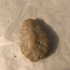 ANIMAL FOSILIZADO SOBRE PIEDRA