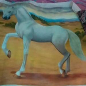 CABALLO BLANCO PALOMO, CERTIFICADO